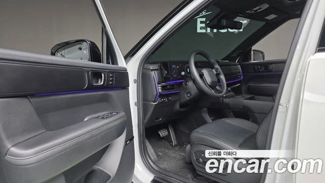 Hyundai Santa Fe (MX5) Calligraphy, 2024 12