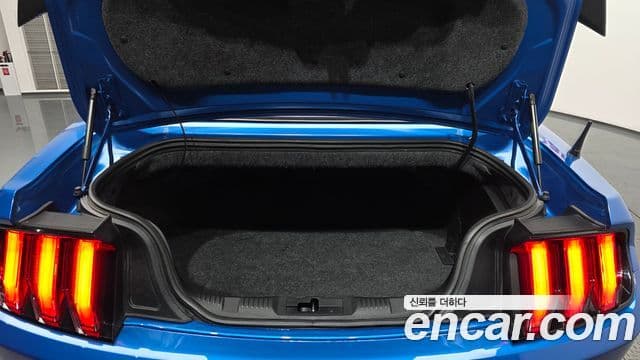 Ford Mustang GT кабриолет, 2020 20