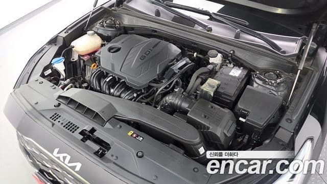 Kia K8 Noblesse, 2023 6