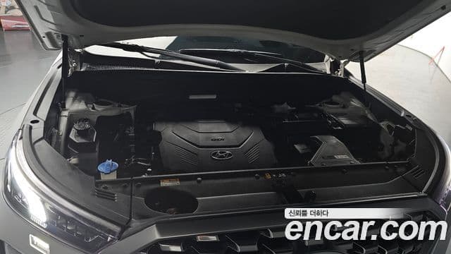 Hyundai Palisade Prestige, 2020 6