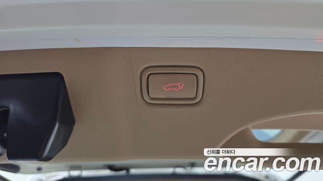 Kia The / новый New Carnival Special, 2019 20