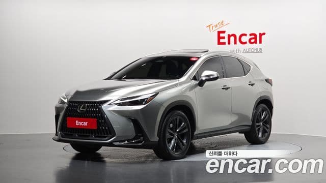 Lexus NX350h 2세대 Premium, 2025 1