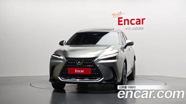 Lexus NX350h 2세대 Premium, 2025 3