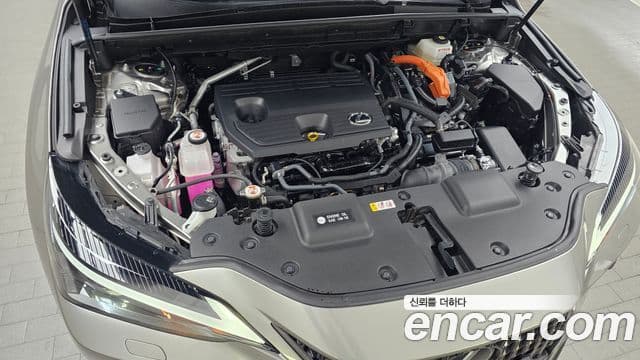 Lexus NX350h 2세대 Premium, 2025 6