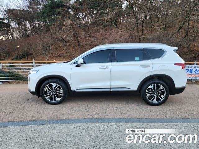 Hyundai Santa Fe TM Exclusive Special, 2019 все фото