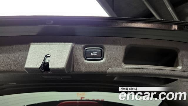 Hyundai Santa Fe TM Prestige, 2019 20