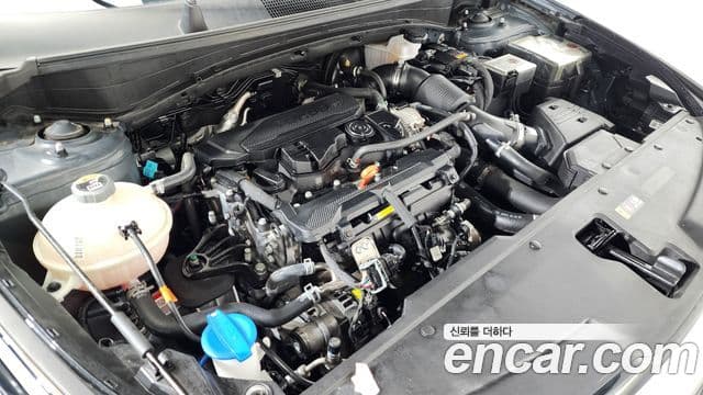 Kia Sportage 5세대 Signature, 2024 6