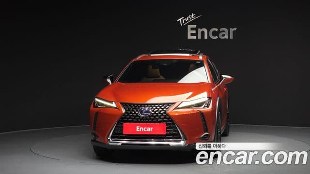 Lexus UX250h, 2019 3