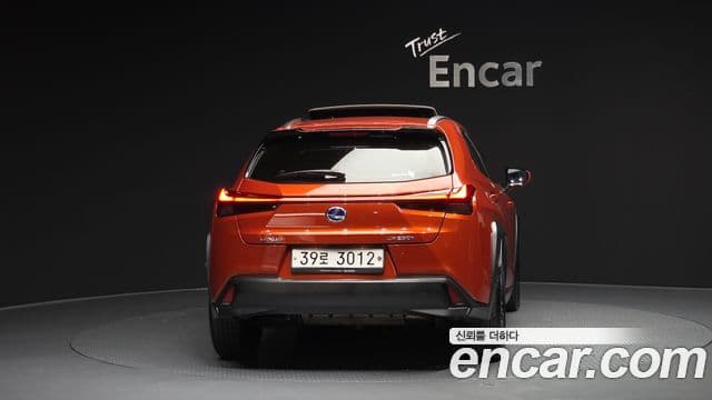 Lexus UX250h, 2019 4