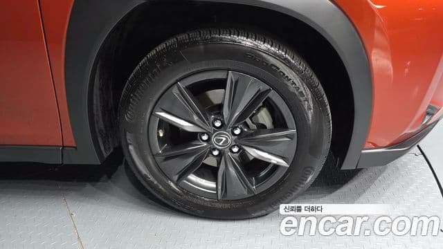 Lexus UX250h, 2019 все фото