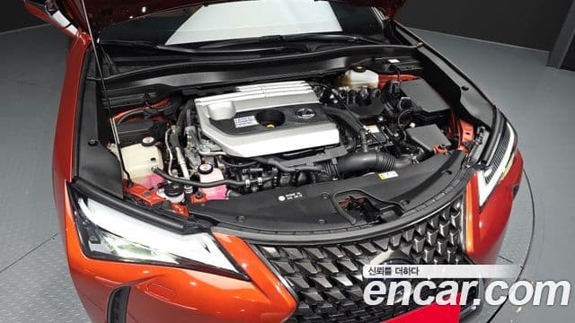 Lexus UX250h, 2019 6