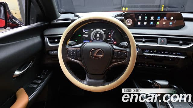 Lexus UX250h, 2019 13