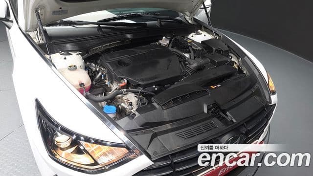 Hyundai Sonata (DN8) Style, 2023 6