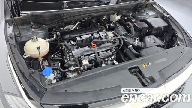 Kia Sportage 5세대 Signature, 2022 6