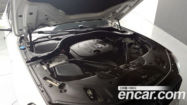 BMW 5시리즈 (G30) 520d M Sport Special Edition, 2018 6