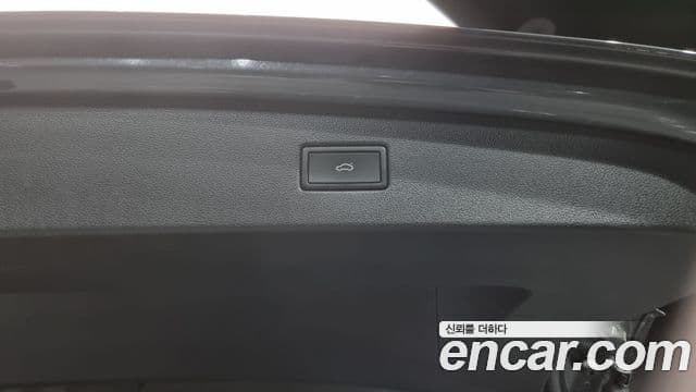 Volkswagen Tiguan 2세대 Premium, 2022 20