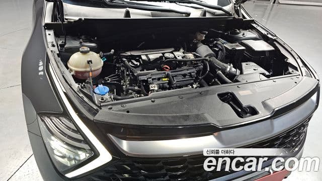 Kia Sportage 5세대 Noblesse, 2023 6