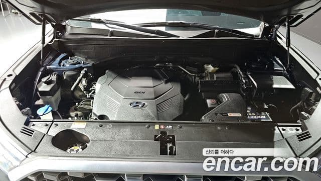 Hyundai Palisade Prestige, 2020 6