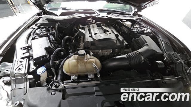 Ford Mustang кабриолет, 2021 6