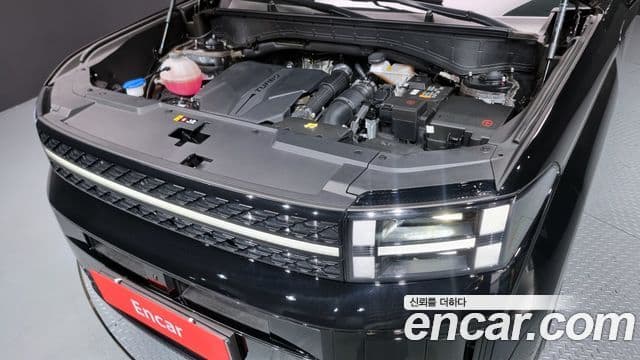 Hyundai Santa Fe (MX5) Calligraphy, 2024 6