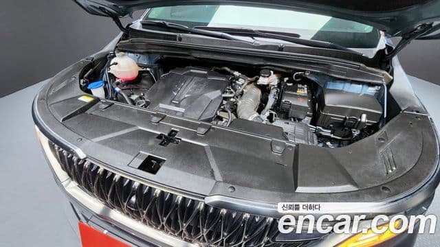 Kia Carnival 4세대 Noblesse, 2023 6