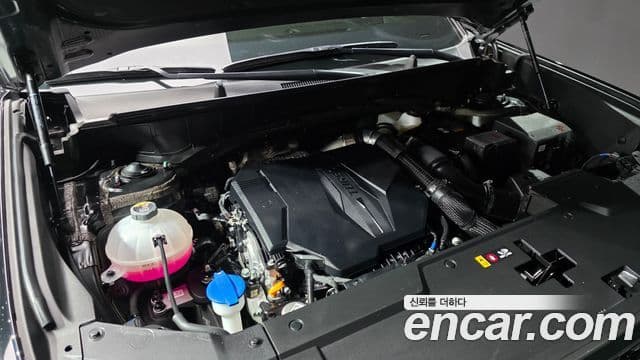 Hyundai Santa Fe (MX5) Calligraphy, 2025 6