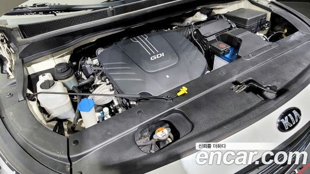 Kia All New Carnival President, 2016 6