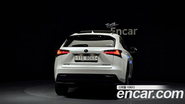 Lexus NX300h Executive, 2015 4