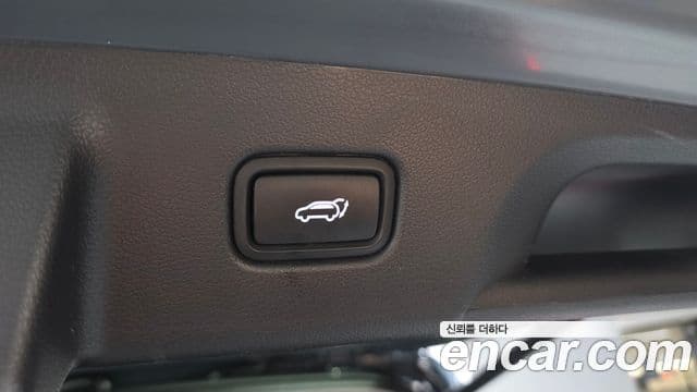 Hyundai Palisade Prestige, 2021 20