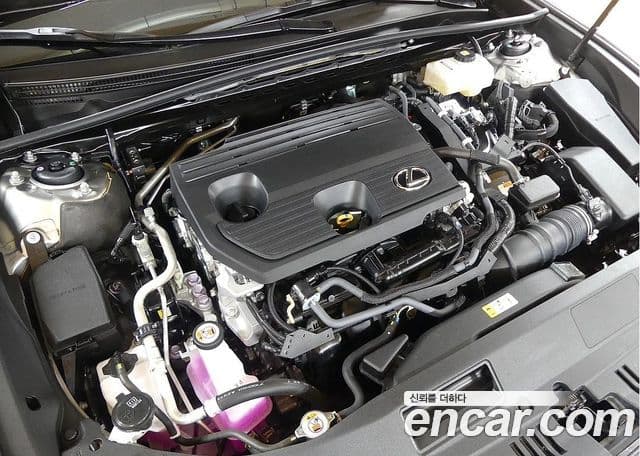 Lexus ES300h 7세대 Executive, 2025 6