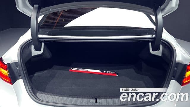 Renault Korea(Samsung) SM6 2.0 LPe RE (для людей с инвалидностью), 2019 20