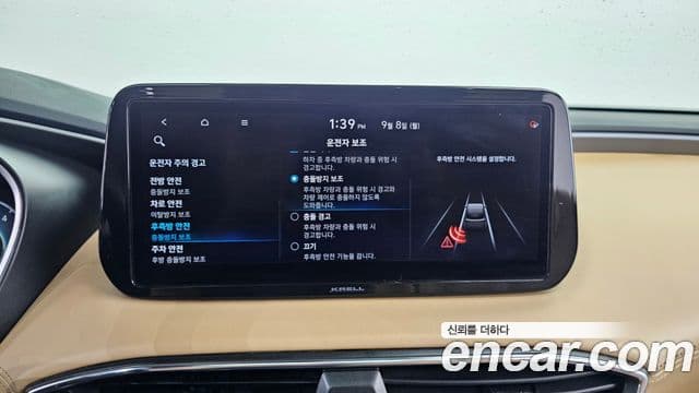 Hyundai The / новый New Santa Fe Calligraphy, 2021 17