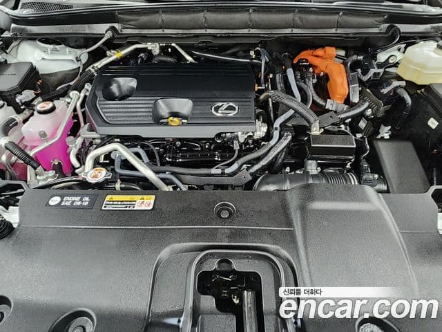 Lexus RX450h+ 5세대 Luxury, 2024 9