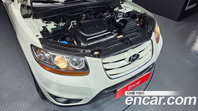 Hyundai Santa Fe CM Premier, 2010 6