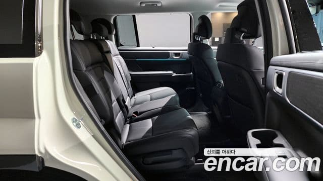 Hyundai Santa Fe (MX5) Calligraphy, 2024 12