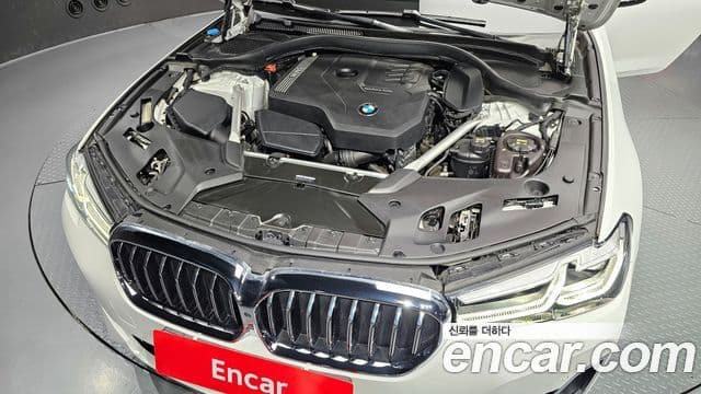 BMW 5시리즈 (G30) Luxury, 2021 6