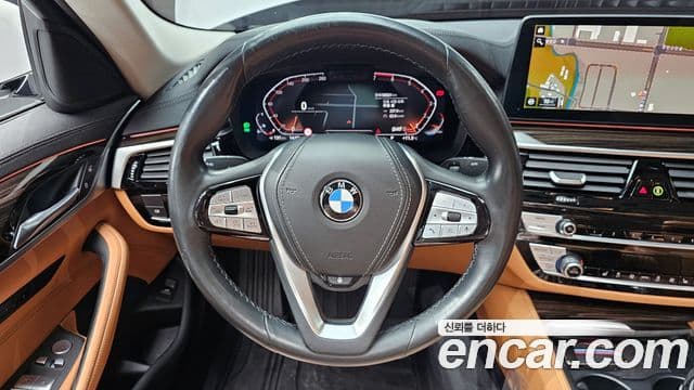 BMW 5시리즈 (G30) Luxury, 2021 13