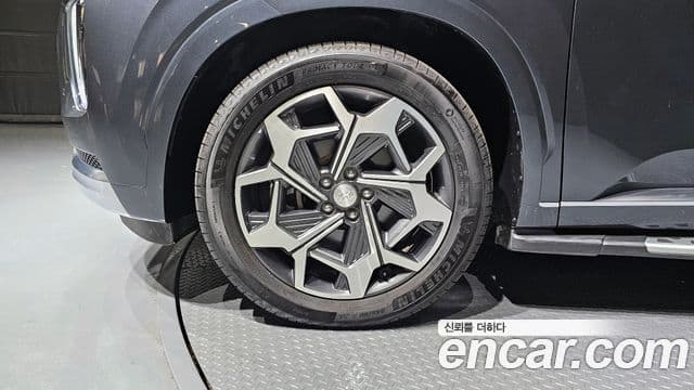 Hyundai Palisade Calligraphy, 2021 все фото