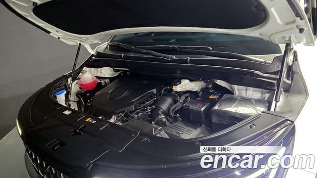 Kia The / новый New Carnival 4세대 Noblesse, 2025 6