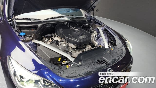 Kia 스팅어 Platinum, 2019 6