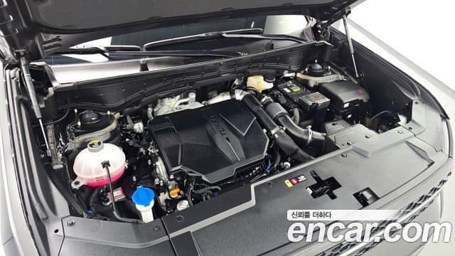 Hyundai Santa Fe (MX5) Calligraphy, 2024 6