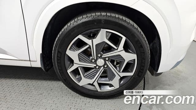 Hyundai Palisade Calligraphy, 2021 все фото