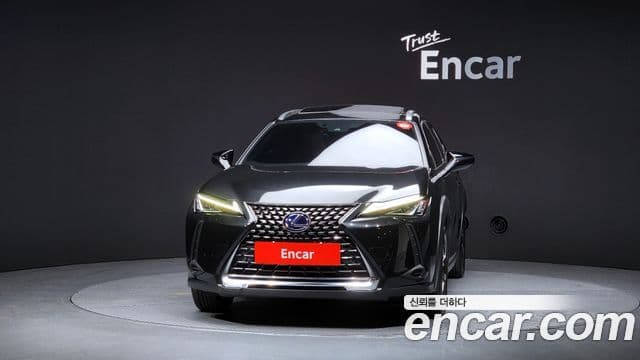 Lexus UX250h, 2021 3