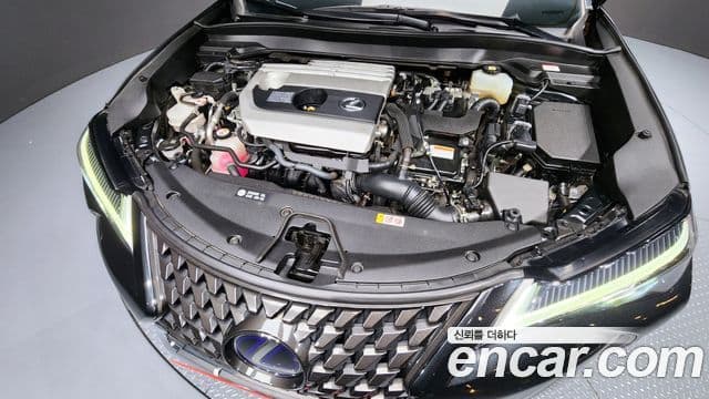 Lexus UX250h, 2021 6