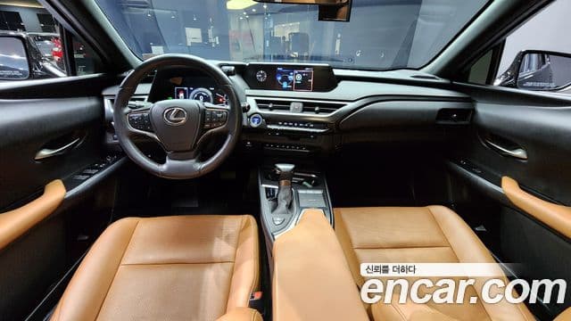 Lexus UX250h, 2021 7