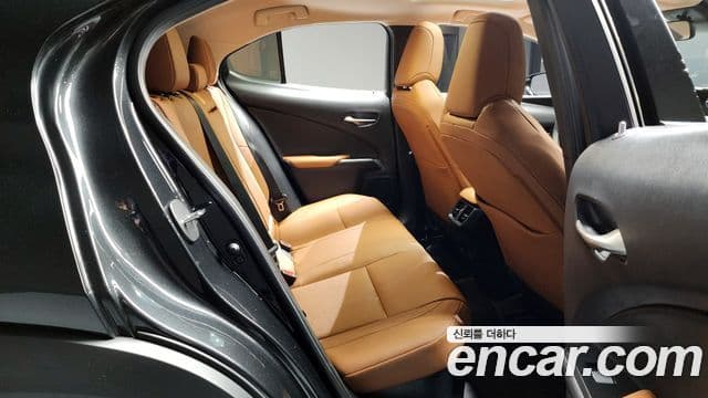 Lexus UX250h, 2021 13