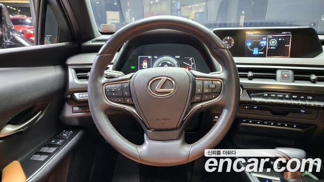 Lexus UX250h, 2021 14