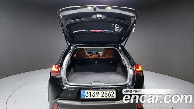 Lexus UX250h, 2021 20