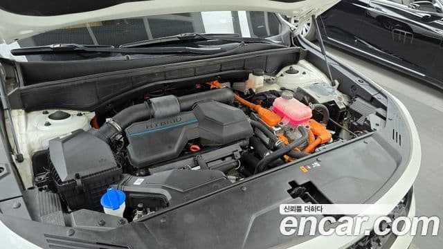 Kia Sorento 4세대 Gravity, 2021 6