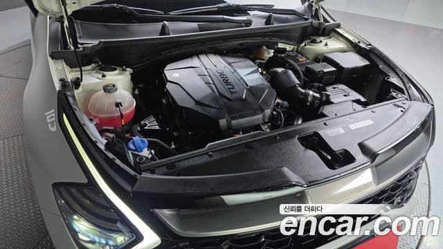 Kia Sportage 5세대 Signature, 2022 6